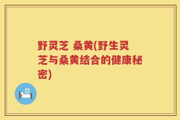 野灵芝 桑黄(野生灵芝与桑黄结合的健康秘密)
