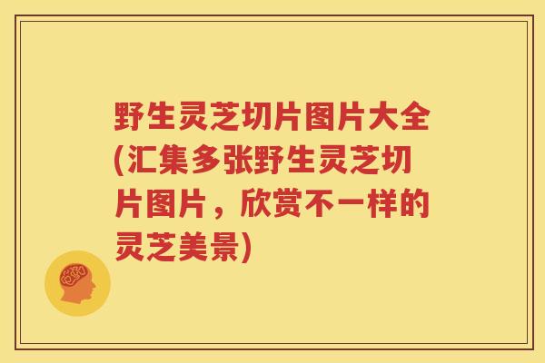 野生灵芝切片图片大全(汇集多张野生灵芝切片图片，欣赏不一样的灵芝美景)