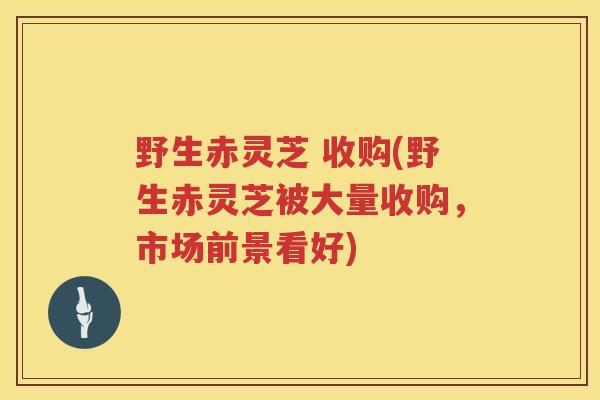 野生赤灵芝 收购(野生赤灵芝被大量收购，市场前景看好)
