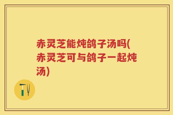 赤灵芝能炖鸽子汤吗(赤灵芝可与鸽子一起炖汤)