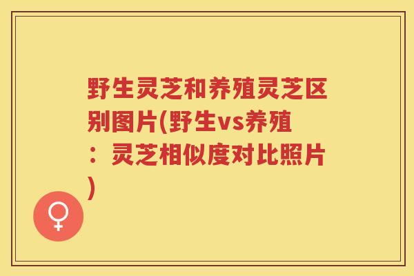 野生灵芝和养殖灵芝区别图片(野生vs养殖:灵芝相似度对比照片) 野生灵芝和养殖灵芝区别图片(野生vs养殖:灵芝相似度对比照片)
