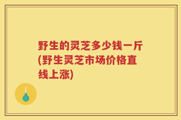 野生的灵芝多少钱一斤(野生灵芝市场价格直线上涨)