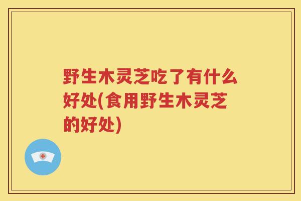 野生木灵芝吃了有什么好处(食用野生木灵芝的好处)