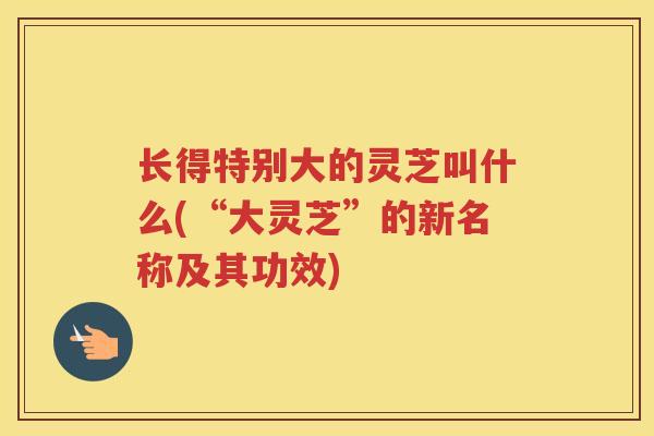 长得特别大的灵芝叫什么(“大灵芝”的新名称及其功效)
