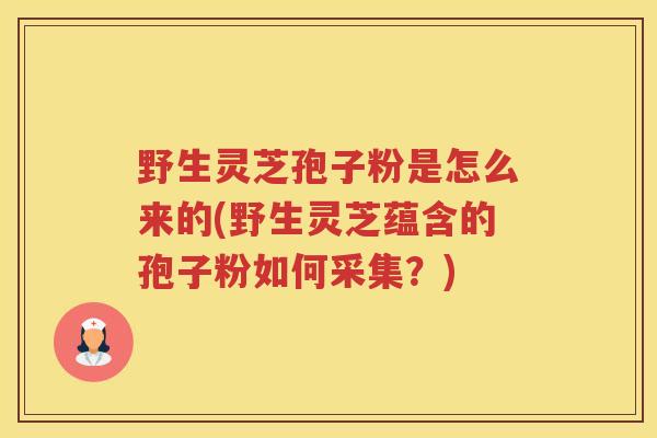 野生灵芝孢子粉是怎么来的(野生灵芝蕴含的孢子粉如何采集？)