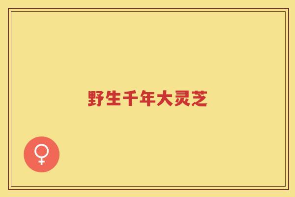 野生千年大灵芝