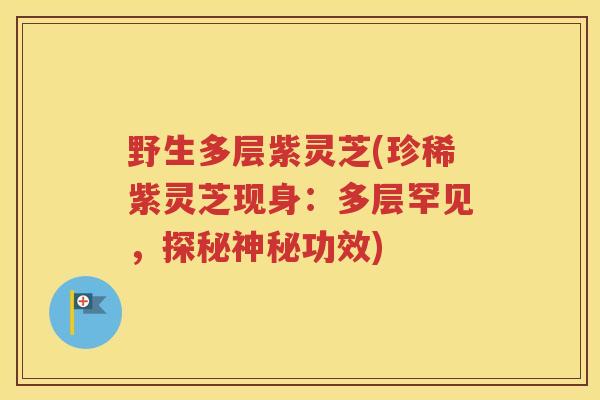 野生多层紫灵芝(珍稀紫灵芝现身：多层罕见，探秘神秘功效)