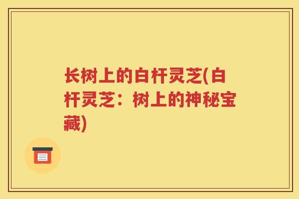 长树上的白杆灵芝(白杆灵芝：树上的神秘宝藏)