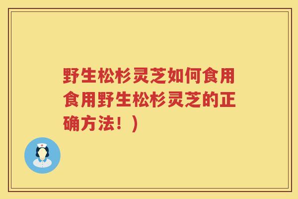野生松杉灵芝如何食用食用野生松杉灵芝的正确方法！)
