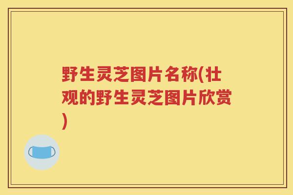 野生灵芝图片名称(壮观的野生灵芝图片欣赏)