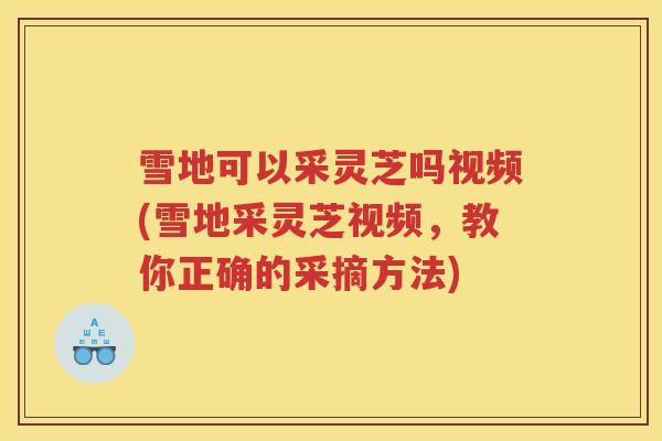 雪地可以采灵芝吗视频(雪地采灵芝视频，教你正确的采摘方法)