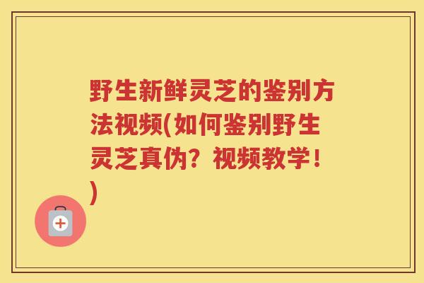 野生新鲜灵芝的鉴别方法视频(如何鉴别野生灵芝真伪？视频教学！)
