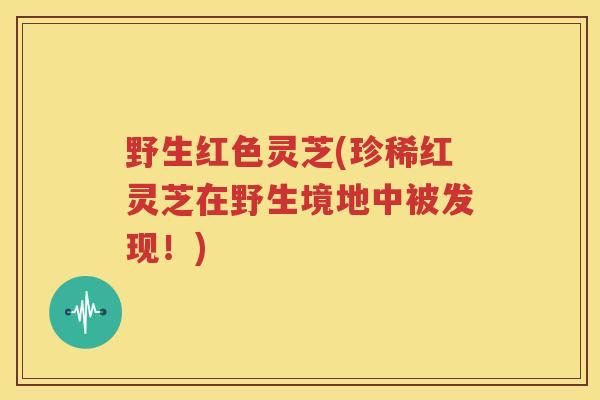 野生红色灵芝(珍稀红灵芝在野生境地中被发现！)