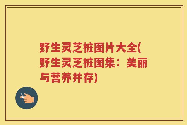 野生灵芝桩图片大全(野生灵芝桩图集：美丽与营养并存)