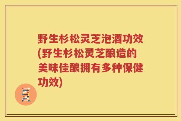 野生杉松灵芝泡酒功效(野生杉松灵芝酿造的美味佳酿拥有多种保健功效)