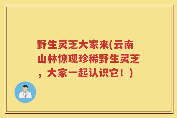 野生灵芝大家来(云南山林惊现珍稀野生灵芝，大家一起认识它！)