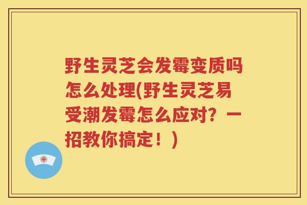 野生灵芝会发霉变质吗怎么处理(野生灵芝易受潮发霉怎么应对？一招教你搞定！)