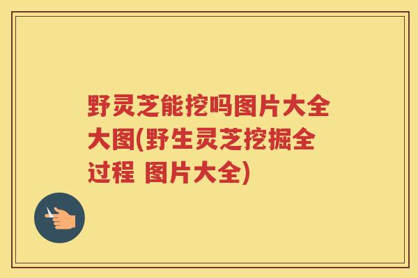 野灵芝能挖吗图片大全大图(野生灵芝挖掘全过程 图片大全)