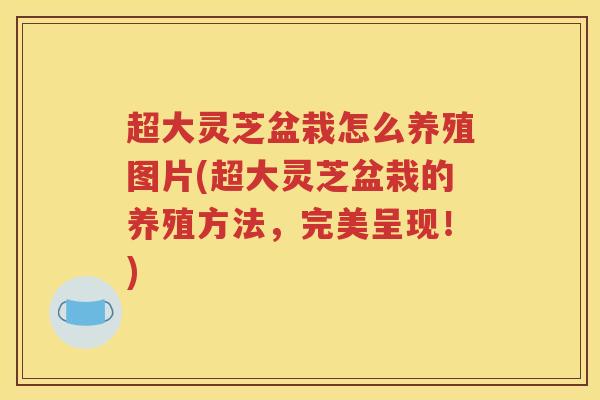 超大灵芝盆栽怎么养殖图片(超大灵芝盆栽的养殖方法，完美呈现！)