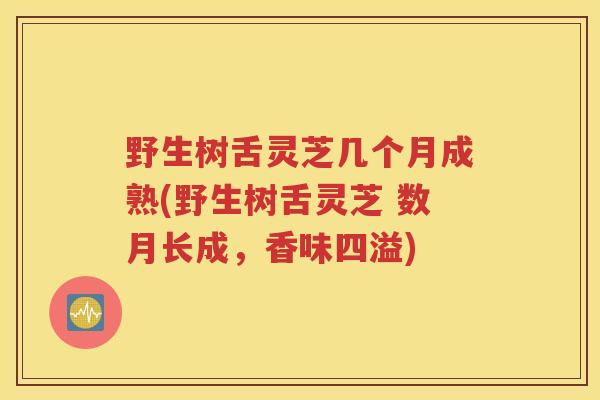 野生树舌灵芝几个月成熟(野生树舌灵芝 数月长成，香味四溢)