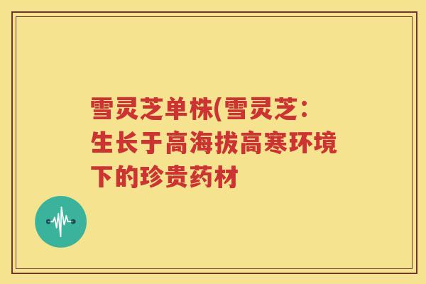 雪灵芝单株(雪灵芝：生长于高海拔高寒环境下的珍贵药材