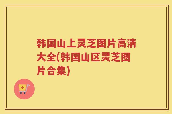 韩国山上灵芝图片高清大全(韩国山区灵芝图片合集)