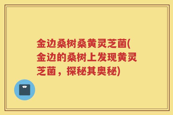 金边桑树桑黄灵芝菌(金边的桑树上发现黄灵芝菌，探秘其奥秘)