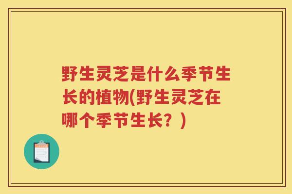 野生灵芝是什么季节生长的植物(野生灵芝在哪个季节生长？)