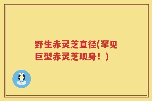 野生赤灵芝直径(罕见巨型赤灵芝现身！)