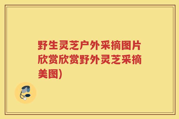 野生灵芝户外采摘图片欣赏欣赏野外灵芝采摘美图)