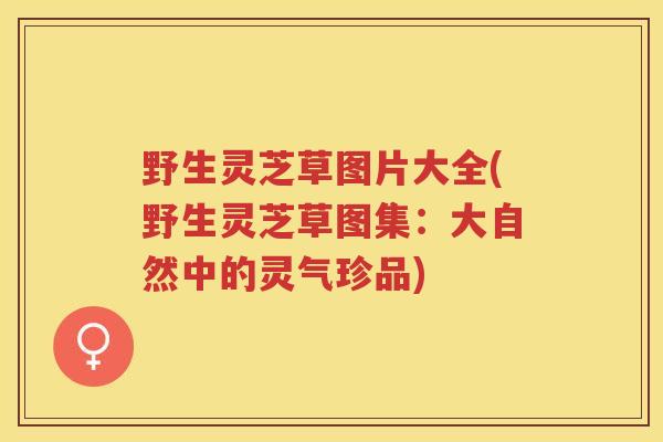 野生灵芝草图片大全(野生灵芝草图集：大自然中的灵气珍品)