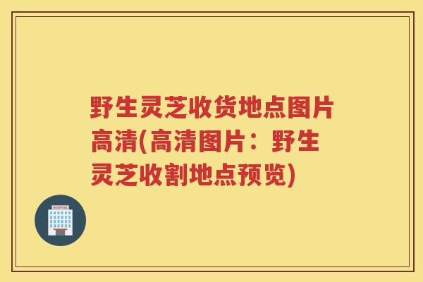 野生灵芝收货地点图片高清(高清图片：野生灵芝收割地点预览)