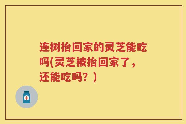 连树抬回家的灵芝能吃吗(灵芝被抬回家了，还能吃吗？)