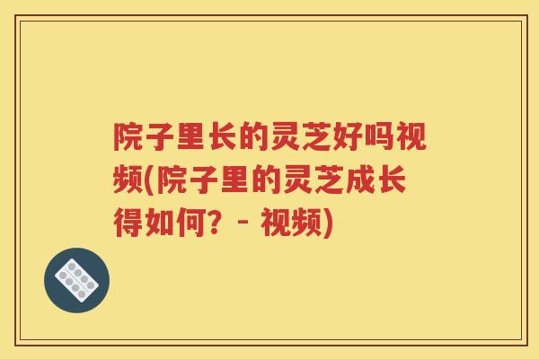 院子里长的灵芝好吗视频(院子里的灵芝成长得如何？- 视频)