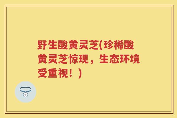 野生酸黄灵芝(珍稀酸黄灵芝惊现，生态环境受重视！)
