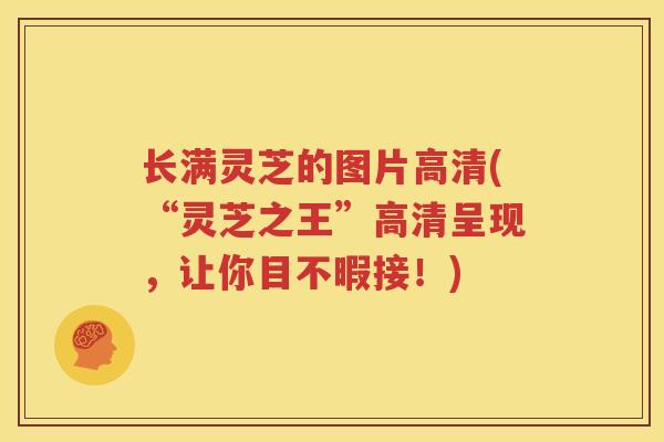 长满灵芝的图片高清(“灵芝之王”高清呈现，让你目不暇接！)