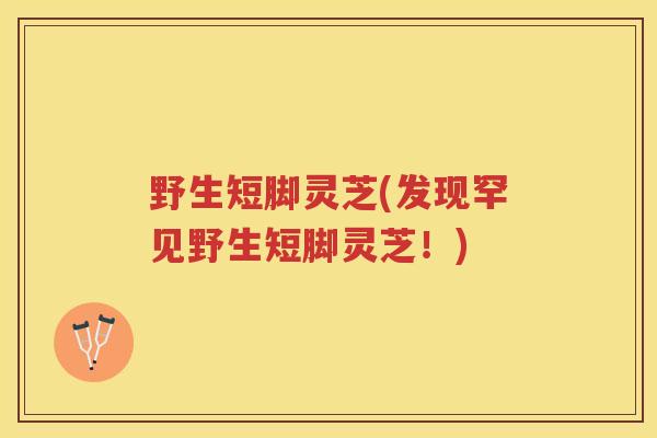 野生短脚灵芝(发现罕见野生短脚灵芝！)