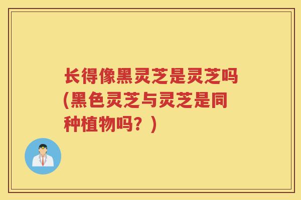 长得像黑灵芝是灵芝吗(黑色灵芝与灵芝是同种植物吗?)