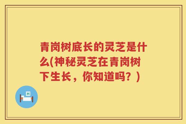 青岗树底长的灵芝是什么(神秘灵芝在青岗树下生长，你知道吗？)