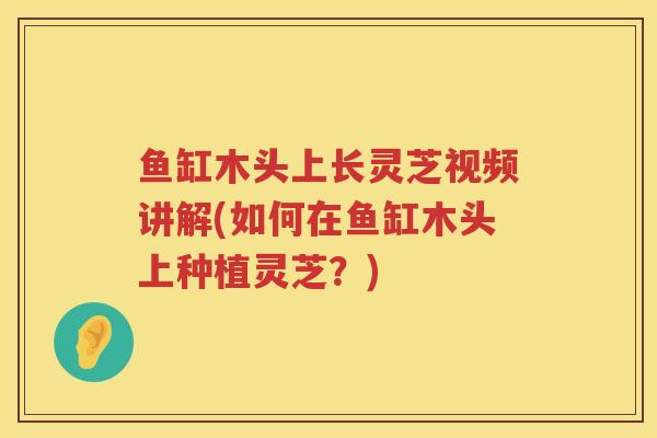 鱼缸木头上长灵芝视频讲解(如何在鱼缸木头上种植灵芝？)