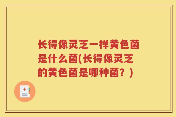 长得像灵芝一样黄色菌是什么菌(长得像灵芝的黄色菌是哪种菌？)