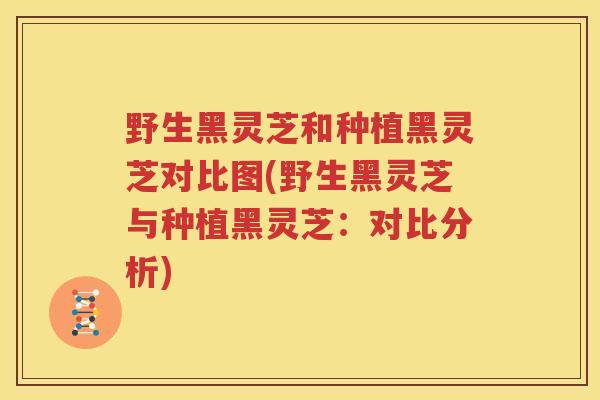 野生黑灵芝和种植黑灵芝对比图(野生黑灵芝与种植黑灵芝:对比分析) 野生黑灵芝和种植黑灵芝对比图(野生黑灵芝与种植黑灵芝:对比分析)