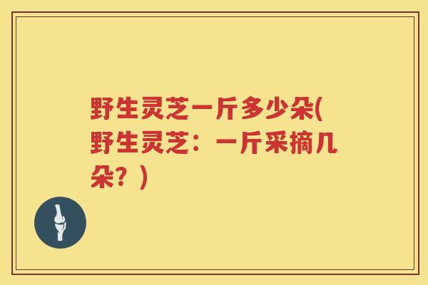 野生灵芝一斤多少朵(野生灵芝：一斤采摘几朵？)