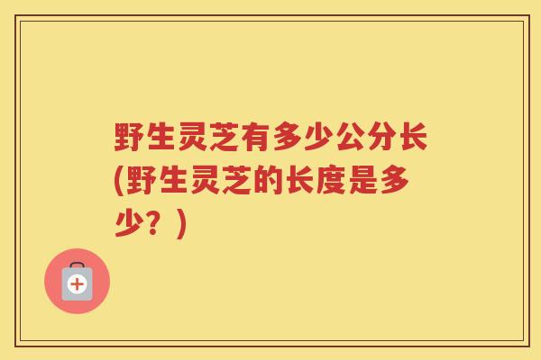 野生灵芝有多少公分长(野生灵芝的长度是多少？)