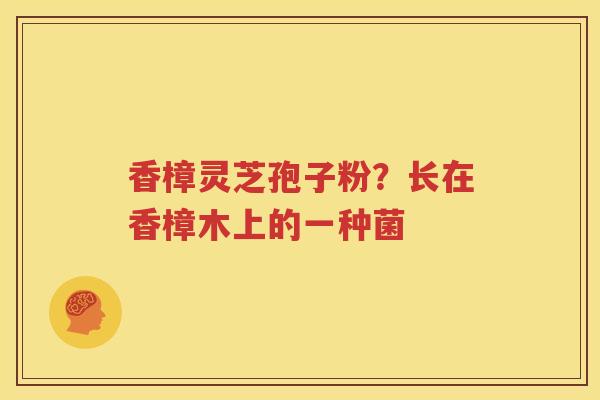 香樟灵芝孢子粉？长在香樟木上的一种菌