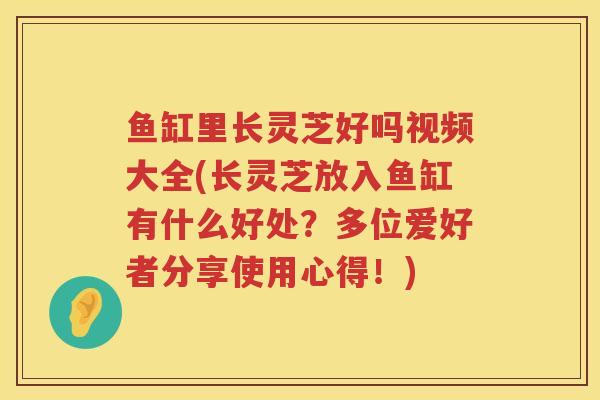 鱼缸里长灵芝好吗视频大全(长灵芝放入鱼缸有什么好处？多位爱好者分享使用心得！)
