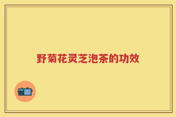 野菊花灵芝泡茶的功效