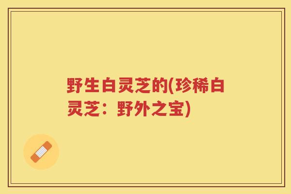 野生白灵芝的(珍稀白灵芝：野外之宝)