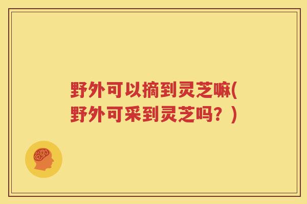 野外可以摘到灵芝嘛(野外可采到灵芝吗？)