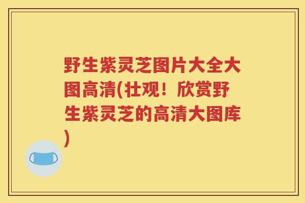 野生紫灵芝图片大全大图高清(壮观！欣赏野生紫灵芝的高清大图库)